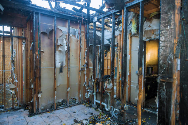 Professional Fire Damage Removal technician working in Westminster, MD